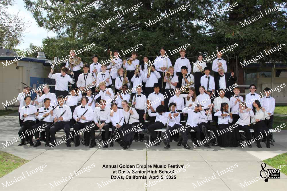 Musical Images
